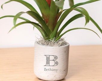 Initial Name Monogram Personalized Engraved Potted Live Plant Gift, Customizable Planter, Indoor Plant, Bridal, Baby Shower, Birthday
