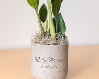 Custom Text Personalized Engraved Potted Live Plant Gift, Customizable Planter, Indoor Plant, Bridal, Baby Shower, Birthday