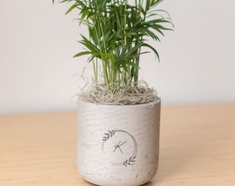 Emblem Initial Personalized Engraved Potted Live Plant Gift, Customizable Planter, Indoor Plant, Bridal, Baby Shower, Birthday