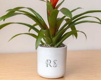 Floral Letters Personalized Engraved Potted Live Plant Gift, Customizable Planter, Indoor Plant, Bridal, Baby Shower, Business, Anniversary