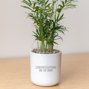 May include: A white ceramic planter with the text "Congratulations on the win!" printed on the front. A green potted plant with long, thin leaves is inside the planter.