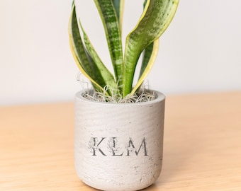 Floral Letters Personalized Engraved Potted Live Plant Gift, Customizable Planter, Indoor Plant, Bridal, Baby Shower, Business, Anniversary