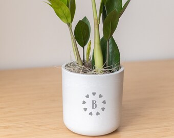 Emblem Initial Personalized Engraved Potted Live Plant Gift, Customizable Planter, Indoor Plant, Bridal, Baby Shower, Birthday, Sustainable