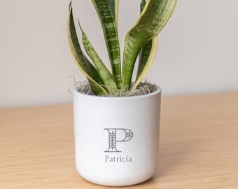 Initial Name Monogram Personalized Engraved Potted Live Plant Gift, Customizable Planter, Indoor Plant, Baby Shower, Sustainable Recycled