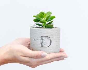 Floral Letters Personalized Engraved Potted Live Plant Gift, Customizable Planter, Indoor Plant, Bridal, Baby Shower, Business, Anniversary
