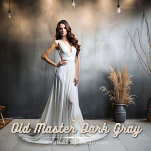 Old Master Dark Gray Background, Horizontal portrait background, Portrait studio backdrop, maternity backdrop, Portrait studio Backdrops