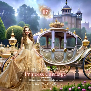 Princess Carriage Digital Backdrop: Maternity & Wedding (Digital Download)