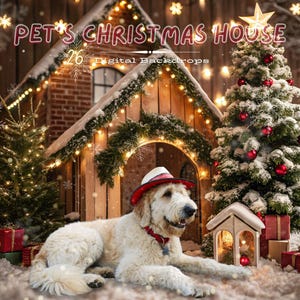 Fondos de casas para mascotas en Navidad Sesión de fotos navideña de cachorros y gatitos Idea de fotografía para amantes de las mascotas Fondo digital para fotografía