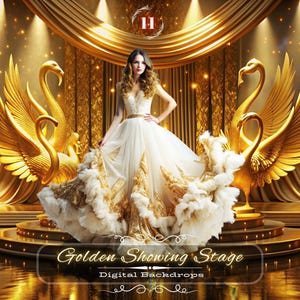 Luxury Gold Digital Backdrop Golden Showing Stage Digital Backgrounds Maternity Backdrop Overlays Studio Backdrops Photoshop Fine Art