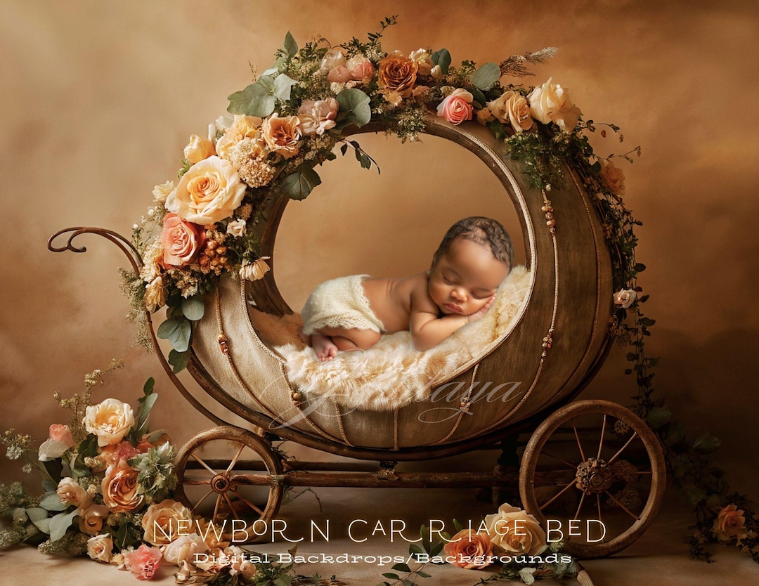 Newborn Carriage Bed Digital Backdrop: Elegant Studio Photo Prop ...