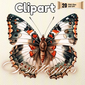 20 Clipart di farfalle ad acquerello, farfalla, clipart di acquerello stampabile, PNG trasparente di alta qualità, download digitale, artigianato di carta