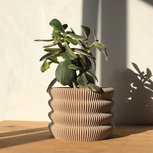 May include: A potted plant with green leaves in a light brown, wavy, ceramic planter.