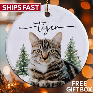 K&ouml;nnte beinhalten: Runder Keramikschmuck mit einer getigerten Katze und dem Wort "tiger". Zwei aquarellierte Weihnachtsb&auml;ume flankieren die Katze. Der Schmuck hat einen marmorartigen Hintergrund. Der Text "SHIPS FAST" steht oben.