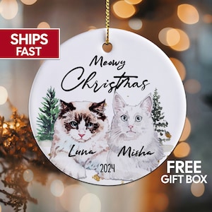 Cat Christmas Ornament Personalized Cat Name Ornament For Cat, Cat Owner Gift, Cat Lover Gift Cat Christmas Gift Pet Ornament Christmas Gift