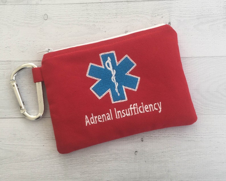 Medical Alert pouch, First Aid Kit, Epi-pen syringe Case, Epipen, Adrenal Insufficiency, personalized, Emergency Medical Bag, Addison image 2
