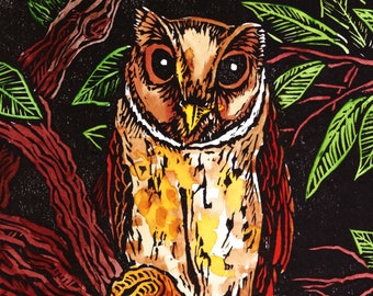 Bay Owl Linocut