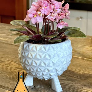 Spaceship Earth Inspired Planter: 3D Printed Geometric Sculpture