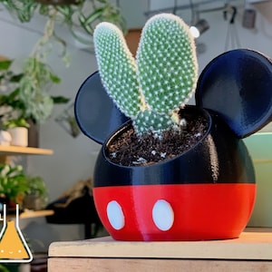May include: A red and black Mickey Mouse-shaped planter with white polka dots, featuring a green cactus plant inside.