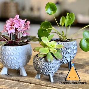 May include: Three potted plants in geometric grey planters with legs. The plants are a pink flowering plant, a succulent, and a leafy plant with round leaves.