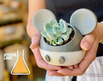 Mickey Mouse Minnie Mouse Steamboat Willie Inspired Planter Pot Succulent 3D Printed Garden Sculpture Modern Decor Plant