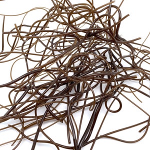 May include: A close-up shot of a pile of brown, thin, and curly strands against a white background. The strands are of varying lengths and thicknesses, with some forming loops and curves. The overall texture appears smooth and slightly glossy.