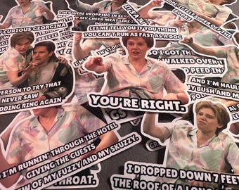 Miss Rafferty SNL Vinyl Stickers: Kate McKinnon Alien Abduction, Set 2