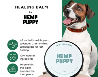 Healing Balm For Irritated Skin, Hot Spots, Minor Wounds & Insect Bites 50g by Hemp Puppy