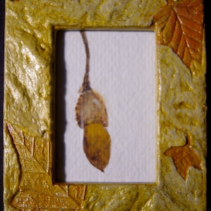 Long Acorn Original Watercolor, Framed