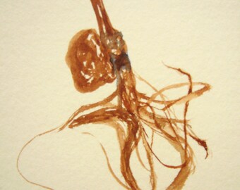 Root Original Watercolor