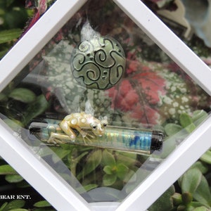 May include: A white square frame with a glass front displays a small, yellow frog figurine perched on a blue and silver glass tube. A green and silver patterned circle is visible above the frog.