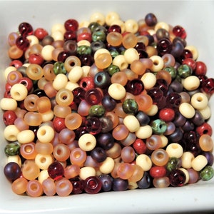 Hello Fall Y&#39;all,  Pumpkin Red Green Gold, Seed Bead mix, Fall Colors, size 6,  50 grams loose