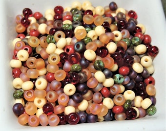 Hello Fall Y'all,  Pumpkin Red Green Gold, Seed Bead mix, Fall Colors, size 6,  50 grams loose