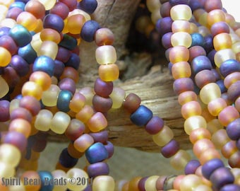 Harvest Glory Seed Bead Mix  6/0 Czech Glass Matte finiah, topaz blue purple  4mm