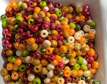 Happy Thanksgiving  Czech Glass seed bead mix size 6, Pumpkin Pie Turkey Cranberries