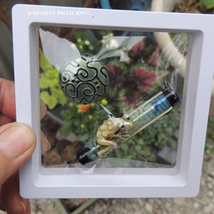 May include: A white frame with a glass front displays a green glass orb with a swirl design, a blue and green glass rod, and a small yellow glass frog figurine.