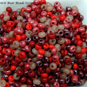 May include: A close-up image of a bowl filled with red, orange, brown, and purple seed beads. The beads are small and round, and they are arranged in a random pattern.