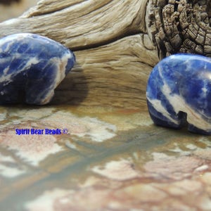 Blue Zuni Bears DARK Blue Sodalite Gemstone for Earrings and Accent 1 pair image 2