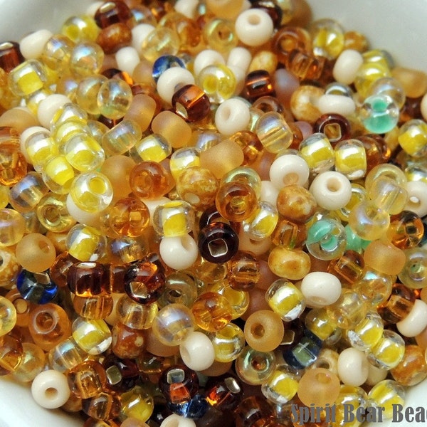 Beaches mix size 6 Czech glass Seed beads 50 grams Loose Summer Vacation Beach Resort