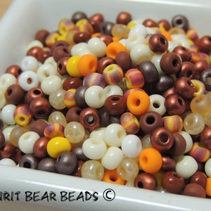 Fall Harvest size 6/0 seed bead mix  Fall Pumpkins Thanksgiving Autumn