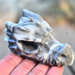 2.8" Natural Shellstone Dragon Skull,Quartz Crystal,Crystal Skull,Crystal Gift,Home Decor,Crystal Healing,Shellstone Skull,Shellstone Decor