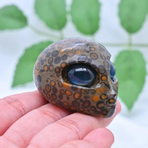 2.3&quot; Natural Leopard print stone Alien Skull,Hand Carved,Reiki Healing,Crystal Carving,Alien Skull,Crystal ornament,Alien Statue 1PC