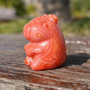 2 Inches Natural Red Agate Capybara,Hand Carved,Reiki Healing,Crystal Capybara,Agate Crystal,Crystal Ornament,Capybara Statue,Crystal Gift