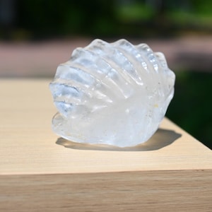 2&quot; Natural Clear Quartz Shell Carved,Hand Carved,Reiki Healing,Crystal Carving,Clear Quartz Carved,Crystal Decor,Crystal Ornament