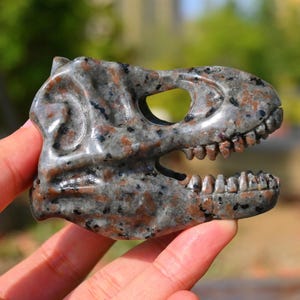 3 Inches Natural Yooperlite Dinosaur Skull,Quartz Crystal,Crystal Skull,Crystal Dinosaur,Crystal Healing,Crystal Deocor,Dinosaur Ornament