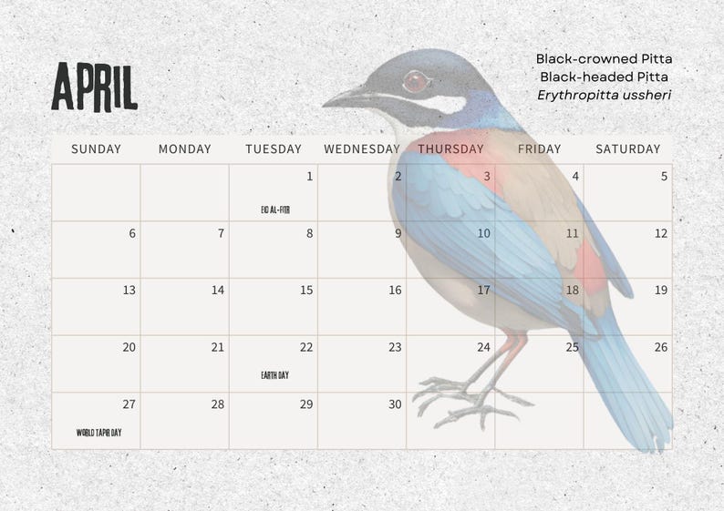 2025 Calendar Wings of Malaysia Water Birds Etsy