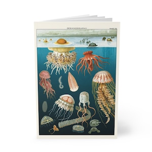 Under the Sea Notebook - A5 Softcover, Ruled Pages for Ocean Lovers, Oceanography Journal Gift Idea