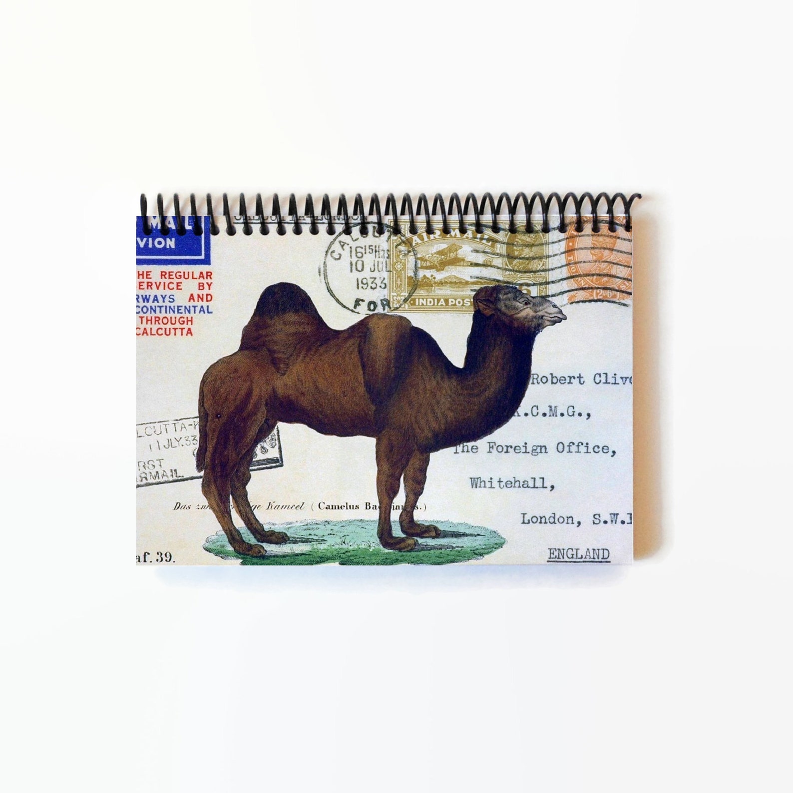 camel stationary travel