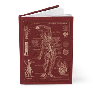 Franse menselijke anatomie grafieken dagboek, cadeau medisch student, wetenschappelijk notitieboekje, planner biologie, vintage medische illustraties
