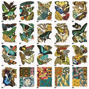 20 Butterfly Plates from Papillons by E.A. Séguy, Digital Images, Instant Download