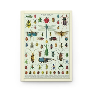 Entomology Notebook, A5 Hardcover, Ruled Pages, Bug and Insect Design, Gift for Nature Lovers image 2